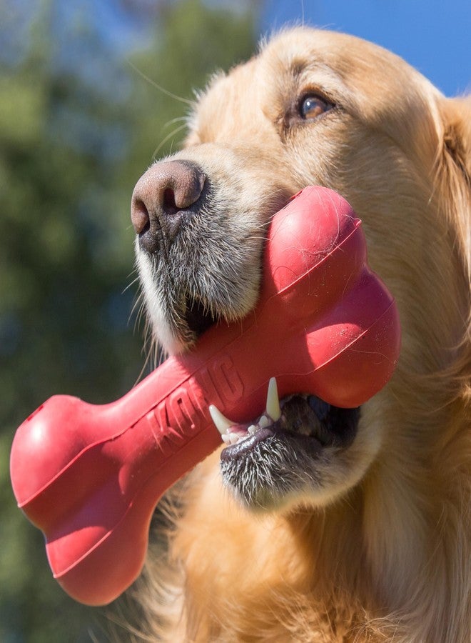 KONG Goodie Bone - Classic Durable Natural Rubber Dog Bone, Supports Mental Engagement - Treat Dispensing - Red - for Large Dogs - Image 2